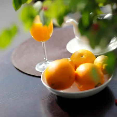 Apartamentai Tylios Pusys Апартаменты Паланга