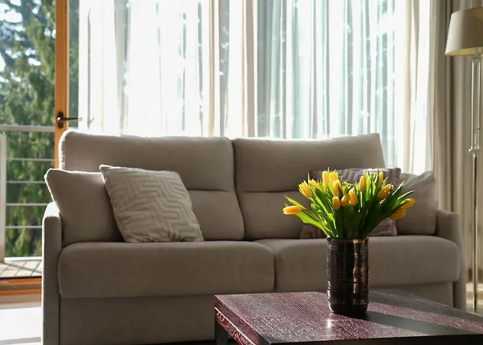 Apartment Apartamentai Tylios Pusys