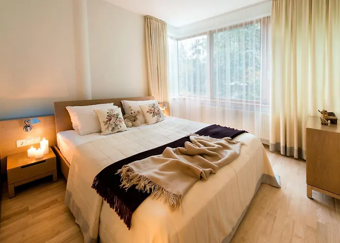 Διαμέρισμα Apartamentai Tylios Pusys Παλάγκα