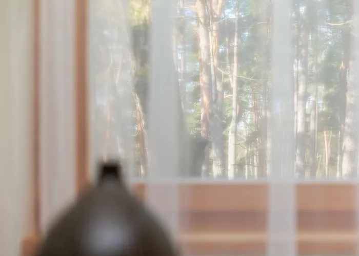 Apartamentai Tylios Pusys * Palanga